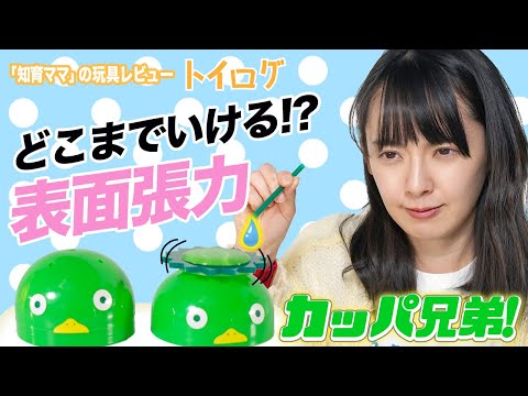 【知育おもちゃ】「カッパ兄弟！」で表面張力の限界にチャレンジ！【本音レビュー】