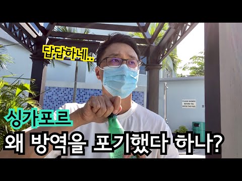 위드 코로나 싱가포르가 방역을 포기했다고? | 포스트 코로나 시대 | 이민생활