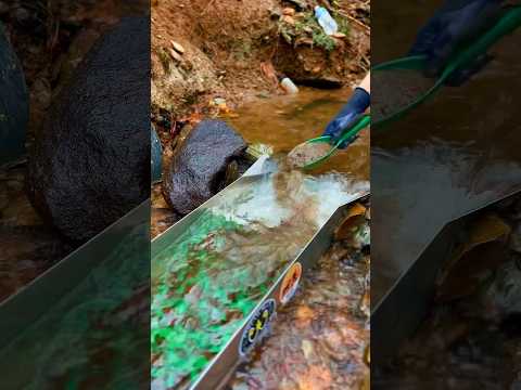 Beautiful NC Placer Gold caught while Sluicing For Gold! Gold Prospecting NC