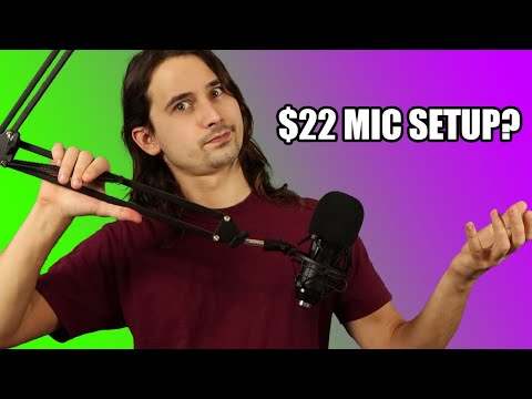 Is A Cheap "Streamer" Mic Setup Any Good? Neewer NW-8000 usb Microphone Kit