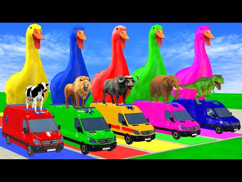 5 Giant Duck Cartoon, Lion, Elephant, Tiger, Gorilla, Dinosaur, Transfiguration funny animal 2025