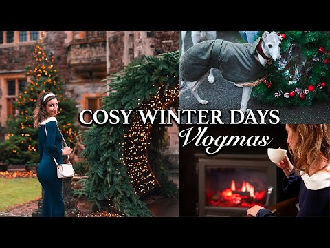 Cosy Winter Days In The English Countryside | The New Forest Hampshire (Christmas Vlogmas 2024)