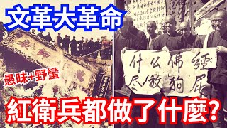 文化大革命，瘋狂的紅衛兵都做了什麼?  #民族浩劫 #破四舊