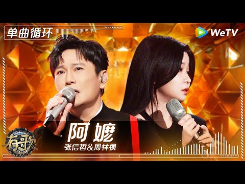 【1小时单曲循环】张信哲 & 周林枫《阿嬷》| #有歌2024 EP11 #hitsong2024 | WeTV综艺音乐