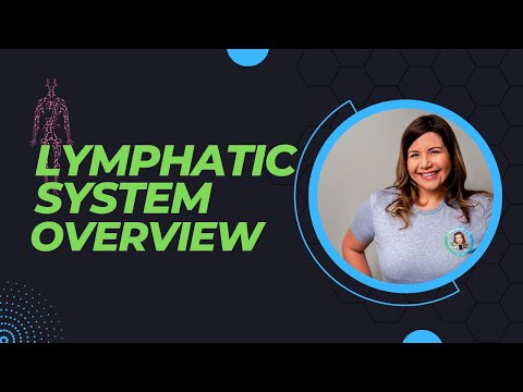 Lymphatic System: Everything You Need to Know