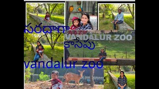 Vandalur zoo//zoo park//Chennai zoo park//largest zoo park in Chennai