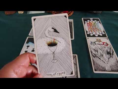 Taurus  ♉ 🐂 November 2024 Tarot Reading