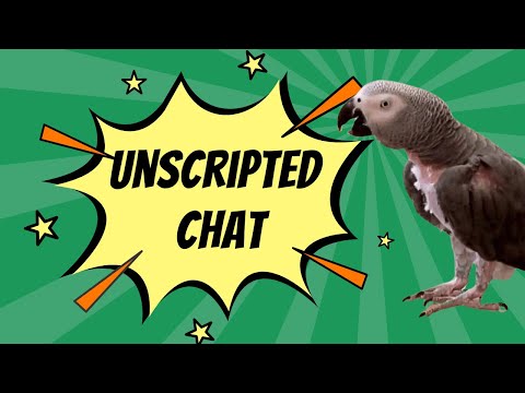 Einstein’s Unscripted Chat: Lunch Plans, Animal Sounds & Peekaboo!