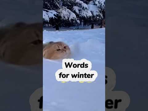 words for winter #chineseclass #learnchinese