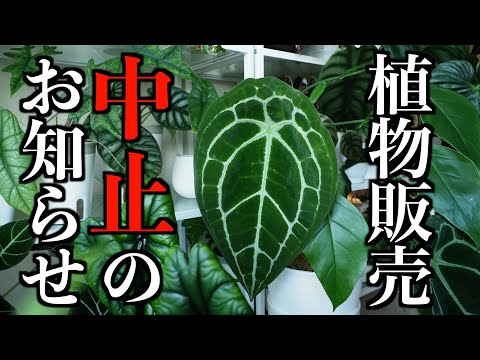 【植物イベント】万が一を考えて、中止とさせていただきます