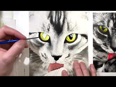 How to Paint a Tabby Cat