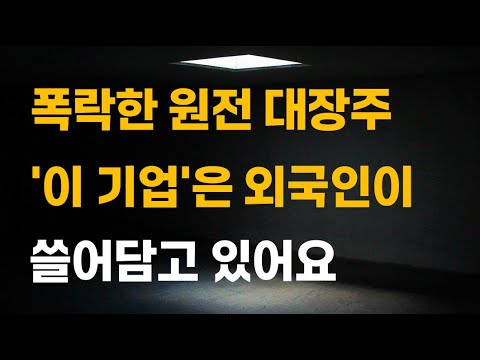 [주식] 폭락한 원전 대장주 '이 기업'은 외국인이 쓸어담고 있어요.[12월주식전망, 두산에너빌리티, 두산중공업, 원전관련주, 대한전선, 원전대장주]