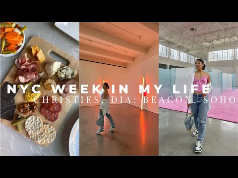 NYC VLOG | WEEK IN MY LIFE | CHRISTIES, SOHO, DIA:BEACON | @LEXAIRE