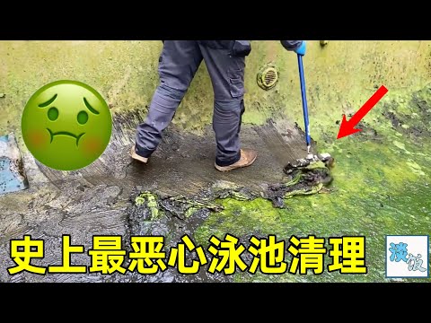 清洗废弃泳池：墙面全是苔藓还有长腿的鱼，清洗过程看得极度解压 | 淡饭电影