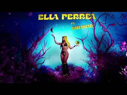 ELLA PERREA DJ KITTY REMIX - DON OMAR CHESCA