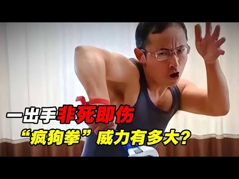 一出手非死即伤？1打11招招致命，“疯狗拳”威力有多大？