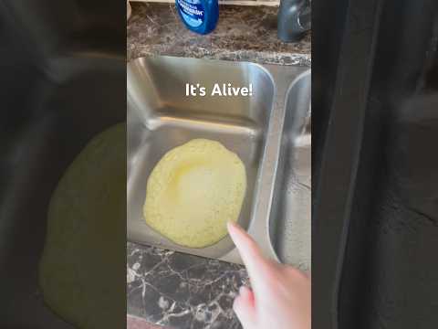 What is that in your sink? Sink Cleaning 🧼