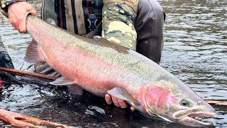 Steelhead Fishing Etiquette Boat & Bank edition.