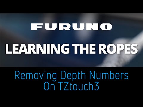 Learning the Ropes - How to Remove Depth Numbers From DFF3D Windows on TZtouch3