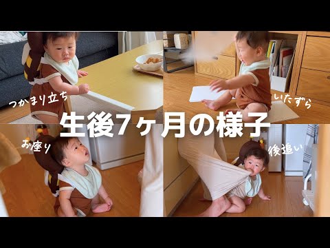 ただただ目が離せない…7カ月の様子👶【男の子ベビー】【ワンオペ】【とある日】