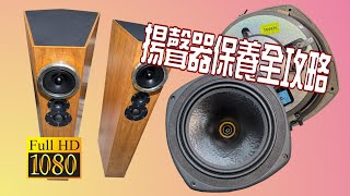 DIY小科普 -- 喇叭保養 揚聲器保養全攻略  喇叭單體 喇叭箱體一次說給你聽   CC字幕