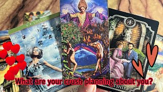 What are your crush planning about you?❤️ Crush Current energy | Hindi tarot card reading