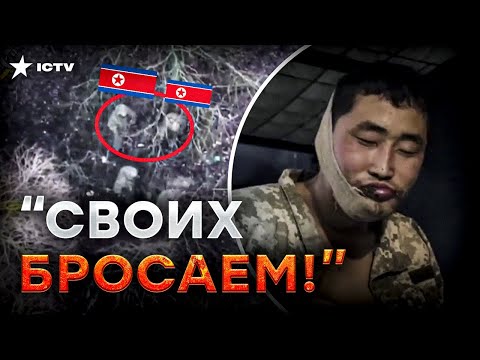 Бойцы КНДР уже в ПЛЕНУ (ВИДЕО) 🛑 Раненых северокорейцев ДОБИВАЮТ! Заявление Зеленского @dwrussian