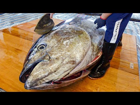 How to Quickly Cut a Bluefin Tuna in 5 Minute? / 5分鐘切割巨大黑鮪魚, 金三角拼盤, 蜂巢黑鮪魚 [ASMR]