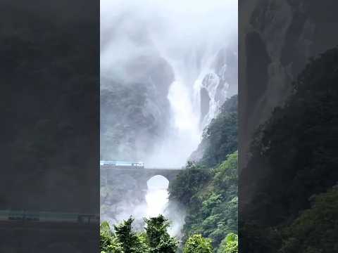 #doodhsagarwaterfall #waterfall #nature #goa #maharashtra #indianrailway #india