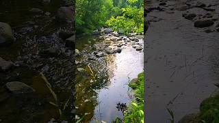 Soothing River Sounds - Calming Nature Sounds