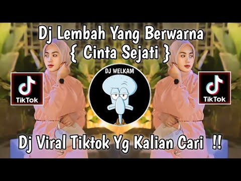 DJ LEMBAH YANG BERWARNA || CINTA  SEJATI - DJ VIRAL TIKTOK YANG KALIAN CARI  !!