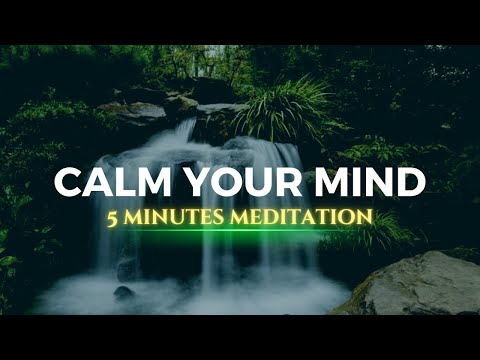 Calm Your Mind in 5 Minutes: Meditation for Serenity