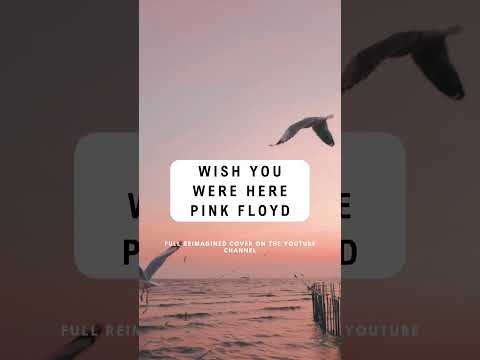 WISH YOU WERE HERE - PINK FLOYD #shorts #rock #pinkfloyd #pinkfloydcover #aimusiccover #aimusic