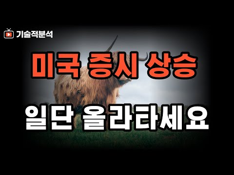 미국 증시 SOXL 주요 지수 상승세 ｜일단은 투자해야 하는 이유