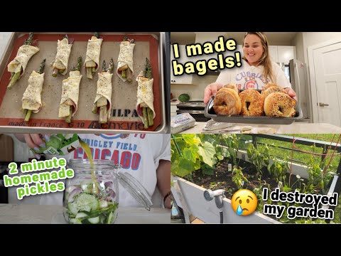 VLOG: Making Bagels, Easy Pickles, Appetizer Idea, and ruining my garden!