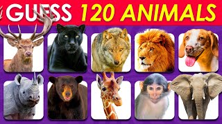 Guess 120 Animals in 3 Seconds | Easy, Medium, Hard, Impossible