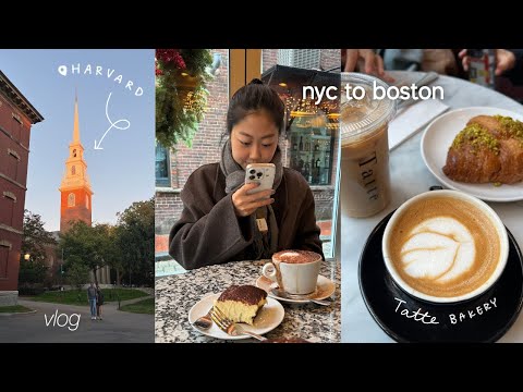 nyc to boston | harvard, tatte bakery, vintage shopping, lobster rolls, boston public library