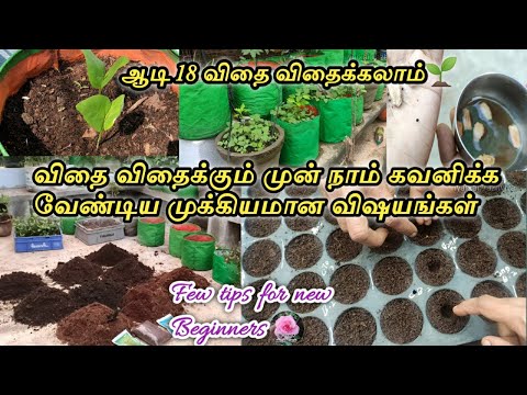 ஆடிப்பட்டம் விதை விதைக்கலாம்/எப்படி விதைக்கலாம்🤔/important tips for aadi pattam New gardener