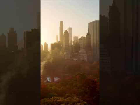 Drone Central Park in the fall, New York City