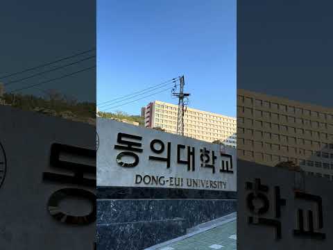 [대학탐방 Shorts] 동의대학교 가야캠퍼스 #동의대 #동의대학교