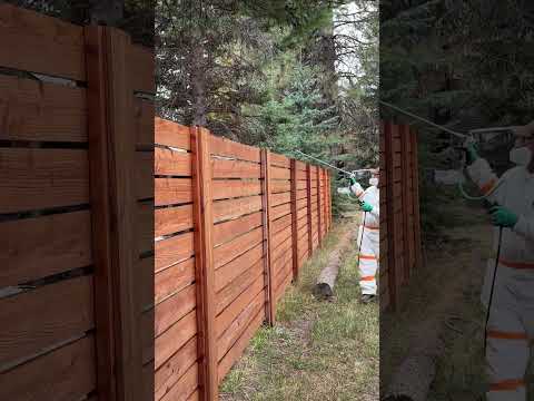 Here’s a trick staining a fence! #gadgets #airless #woodcence #expert