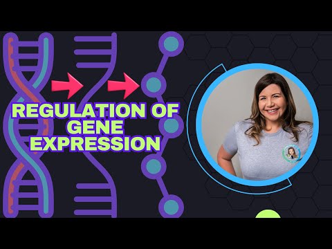 Regulation of Gene Expression (Bio Ch 18)