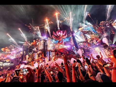 Tomorrowland 2024 - Best Songs, Remixes & Mashups, Best of EDM | Martin Garrix, Tiësto, Hardwell