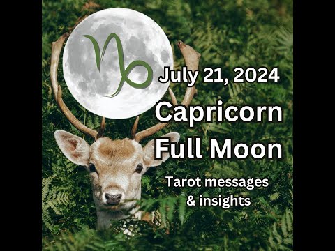 Capricorn Full Moon Tarot Insights & Messages: Four of Pentacles X Four of Cups ♑🌕🦌🌿💧