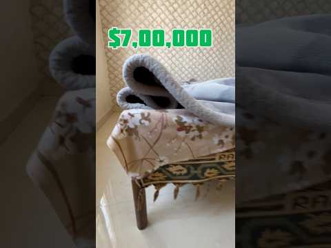 World’s Most Expensive Bed #mrbeast #indianhacker #carryminati #ashishchanchlani #bbkivines #shorts