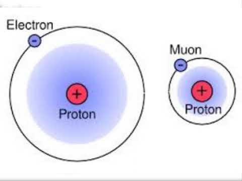 Muon Replaces Electron in Hydrogen Atom