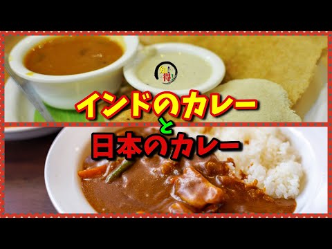 インド人のカレーと日本人のカレーの違い🍛 　◆知っ得◆雑学