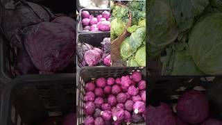 Red and green cabbage #YouTubeChamps #cabbage #lagosmarket