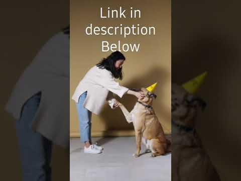 Dog training || Puppy training || Crate training || #shorts