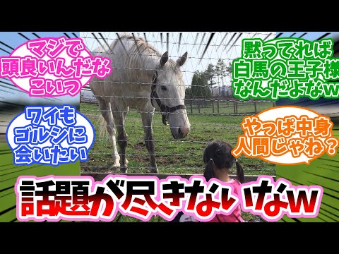 【ゴルシ】何やっても話題になるやつに対するみんなの反応集【競馬】